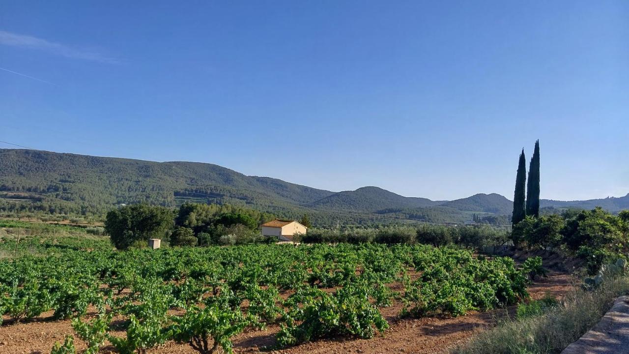 Casa Rural Cal Marti El Pla de Manlleu Exteriér fotografie